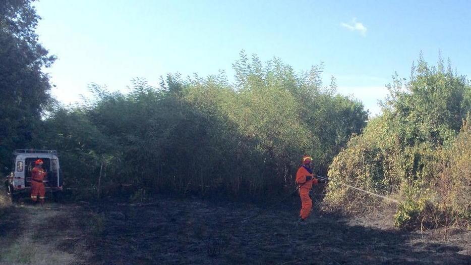 Incendio minaccia le case a Serragrande Tre ettari in fiamme