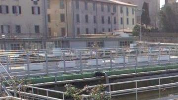 Rivellino in alto mare mancano un piano e i fondi per spostarlo