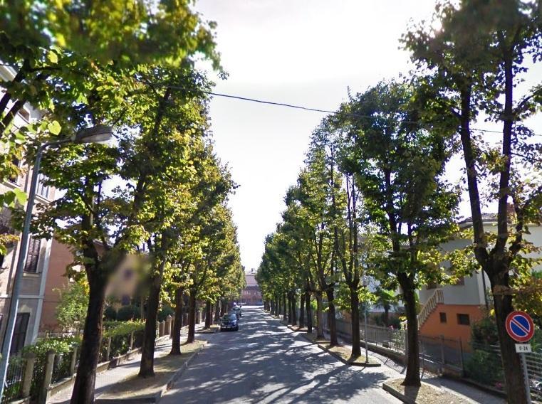 Allarme a Nonantola Donna faccia a faccia con il ladro in cortile