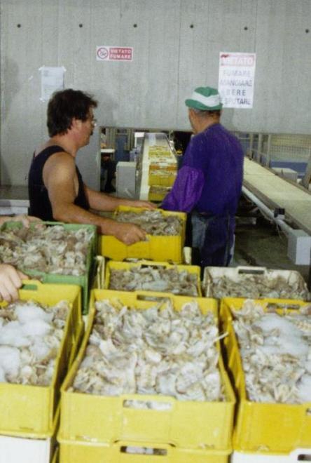 «Il fermo pesca ha bisogno di modifiche»