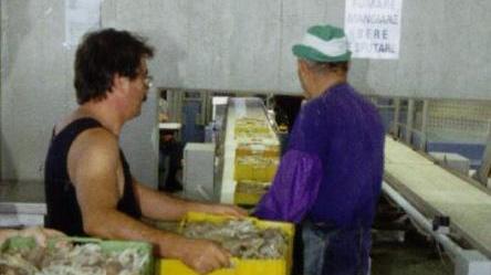 «Il fermo pesca ha bisogno di modifiche»