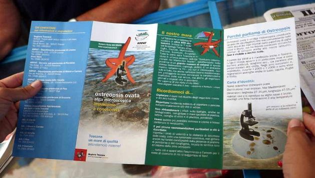Alga tossica? No problem. "Ci infastidisce di più lo sporco sull’arenile"
