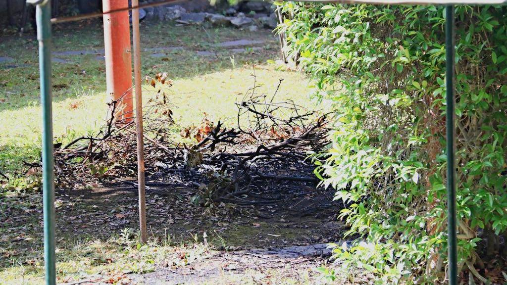 Il giardino a cui è stato dato fuoco nella casa in via di Salviano