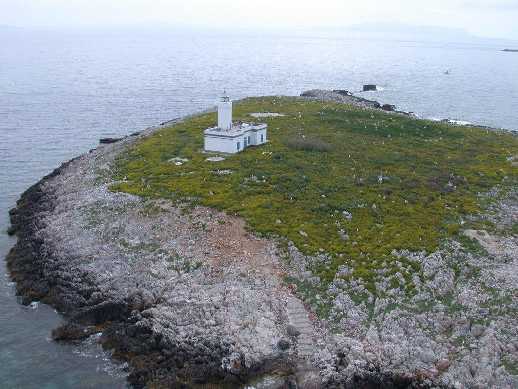 Il faro delle Formiche 