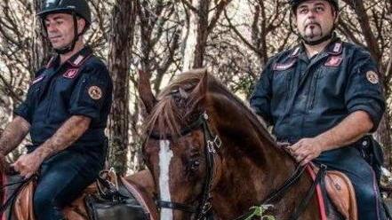 Carabinieri a cavallo nella pineta
