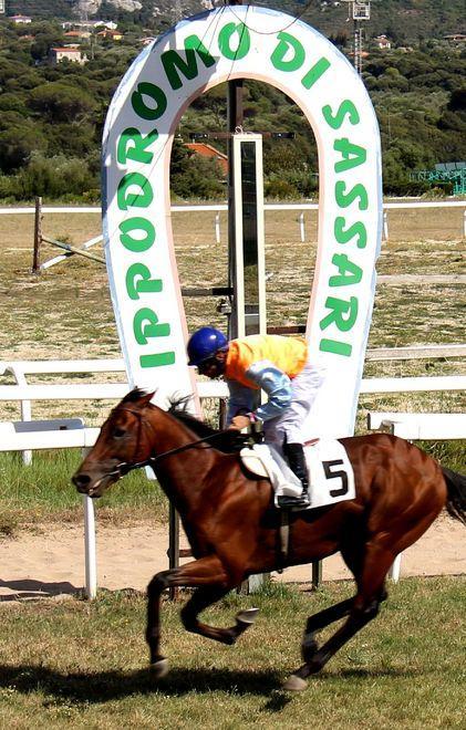 Ulaop è il favorito del Premio Meloni 