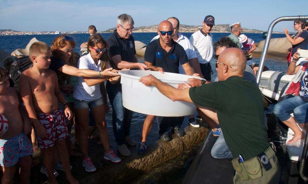 Saturnina restituita all’Arcipelago
