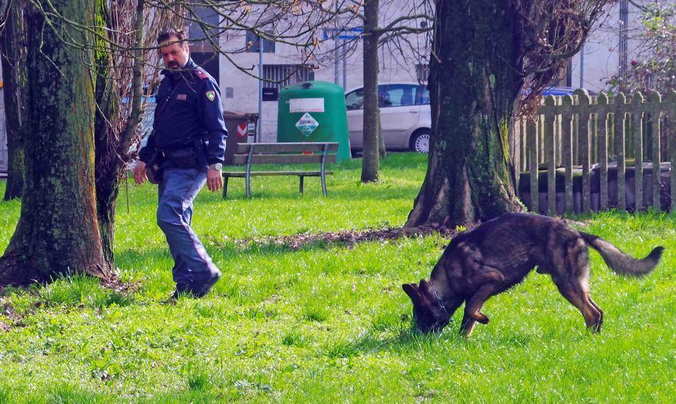 Un etto e mezzo di droga nei giardini 