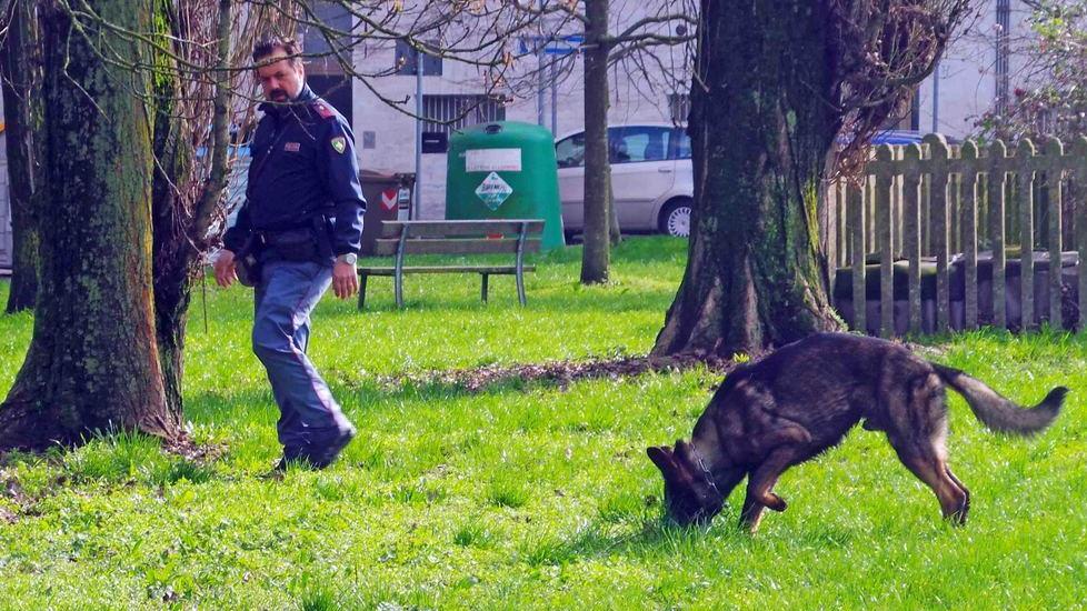 Un etto e mezzo di droga nei giardini