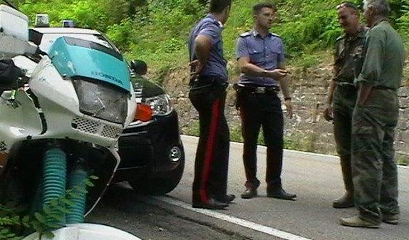 Travolto da un cinghiale grave un motociclista 