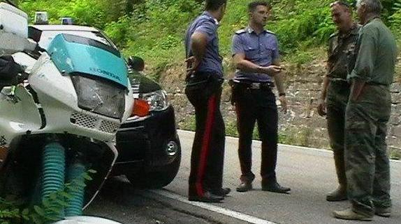 Travolto da un cinghiale grave un motociclista