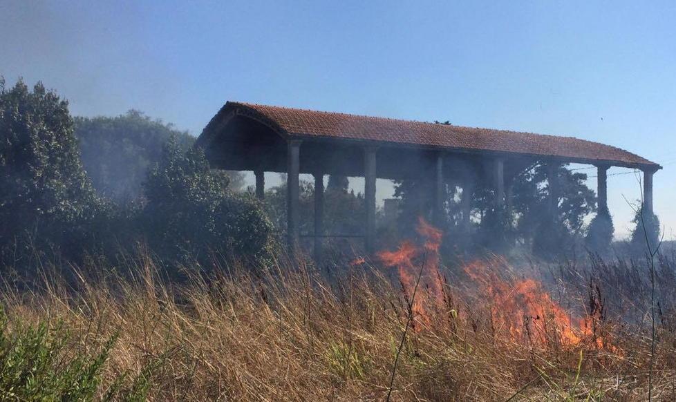 Le fiamme nella campagna del Paduletto (foto Michele Falorni/Silvi)