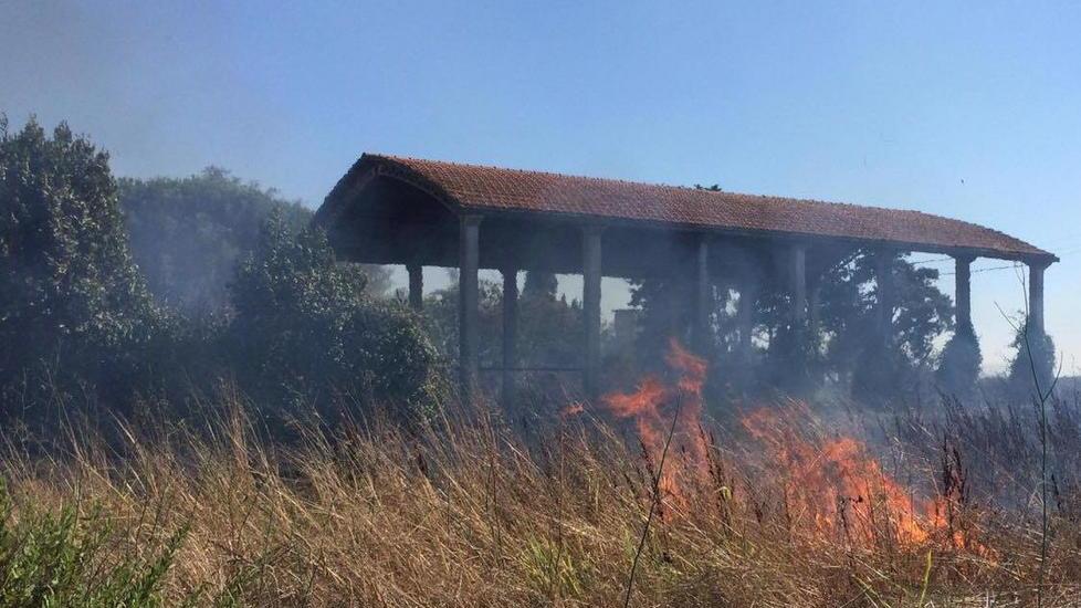 Le fiamme nella campagna del Paduletto (foto Michele Falorni/Silvi)