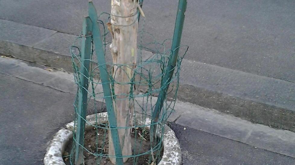 Pali di ferro lungo il marciapiede