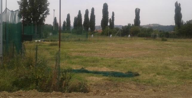 Arcieri e addestramento cani al posto del campo paintbull