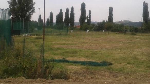 Arcieri e addestramento cani al posto del campo paintbull