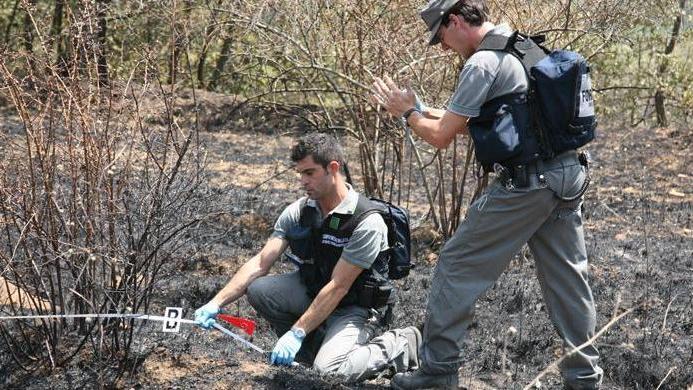 L’incendio nel bosco causato da un uomo per eliminare i rami