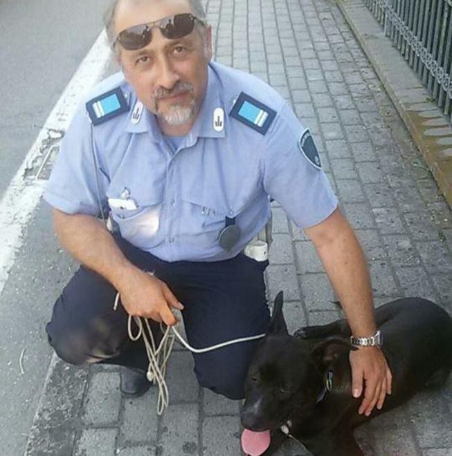 Vigili in azione a Portile di Modena: salvano cane e lo adottano 