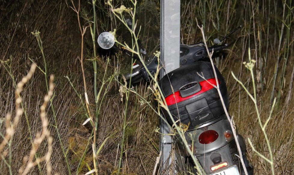 Lo scooter colpito dal cinghiale sulla 206 (Repetti)