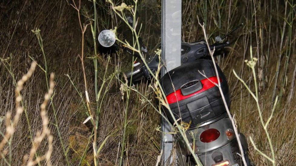 Lo scooter colpito dal cinghiale sulla 206 (Repetti)