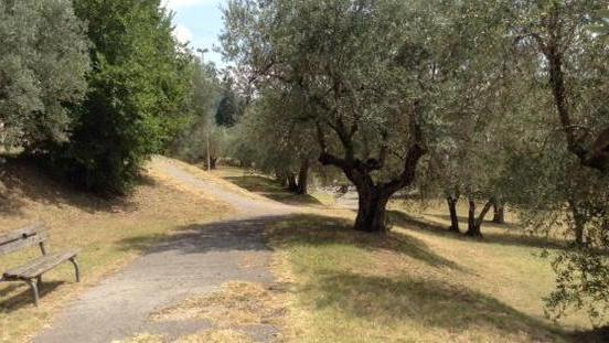 Il morto in Giolica è stato scoperto dopo quattro giorni