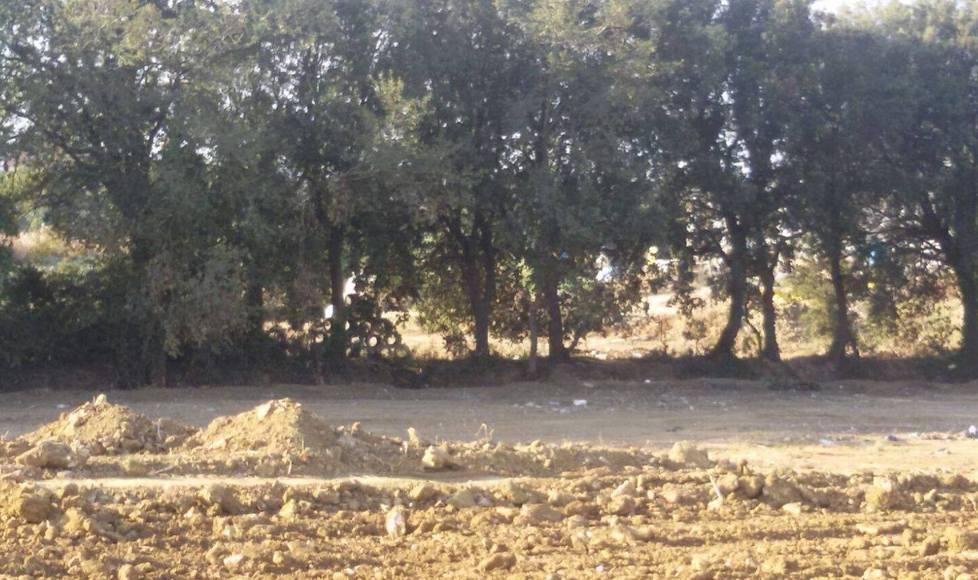 Cento tonnellate di rifiuti rimossi da via del Levante 