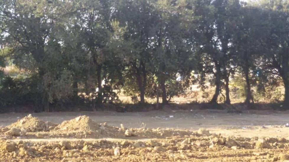 Cento tonnellate di rifiuti rimossi da via del Levante