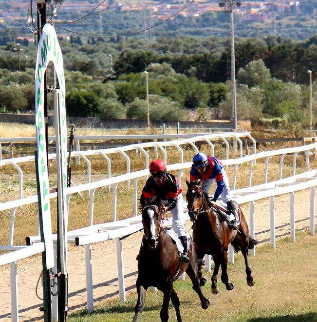Galoppo a Sassari, Usignolo di Tempio vince il Premio Enci