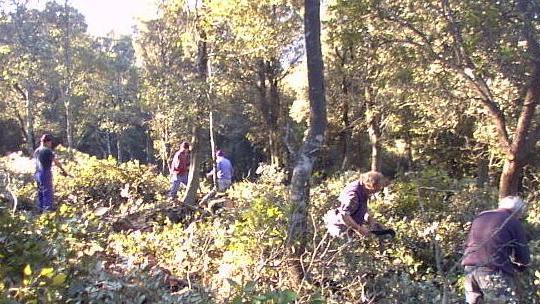 Contratto forestali, lo stato di agitazione prosegue a oltranza