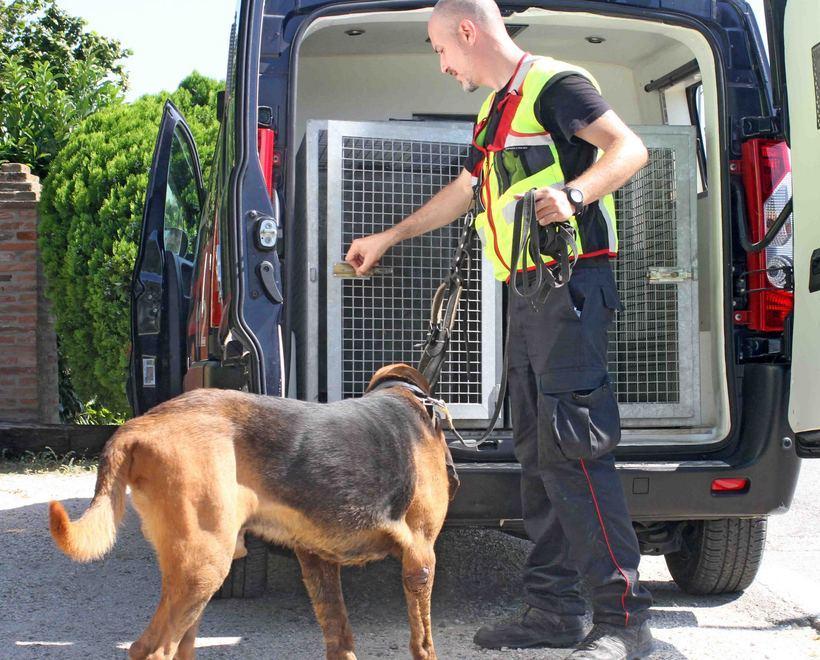 Ma i cani non fiutano la pistola che ha ucciso 