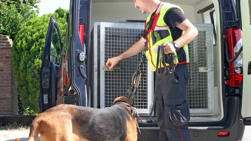 Ma i cani non fiutano la pistola che ha ucciso