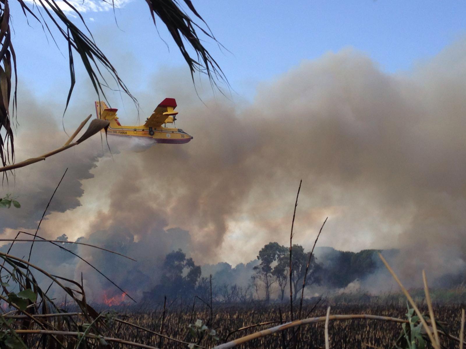 Il Canadair scarica acqua sulle fiamme