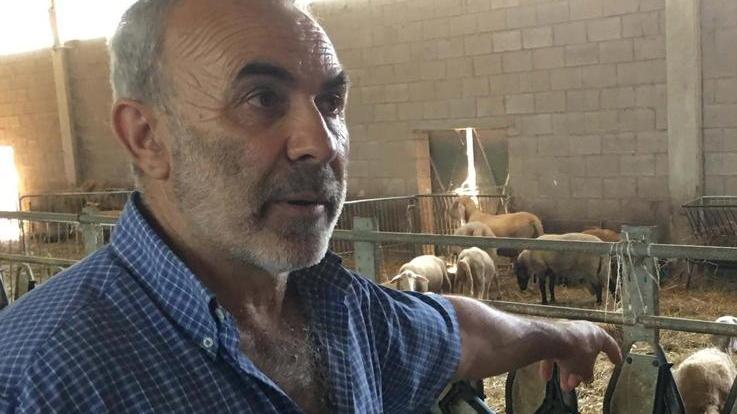 Anche il Pd sta pensando di querelare Cialdini