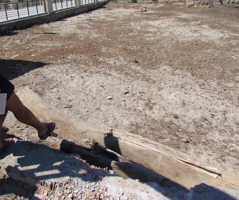 Via le alghe, sulla spiaggia la prima bagnante 