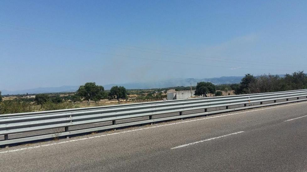 Le fiamme devastano 30 ettari