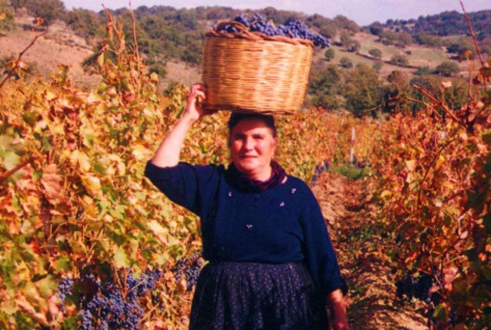 Venerdì in vetrina i migliori cannonau