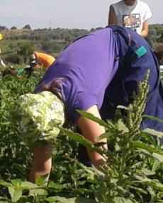 Voucher e irregolarità Le ispezioni si uniformano