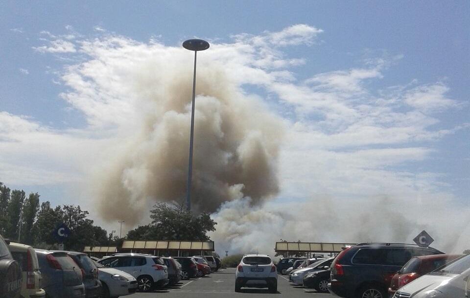 Incendio nel parco di Terramaini a Cagliari (foro Rosas)