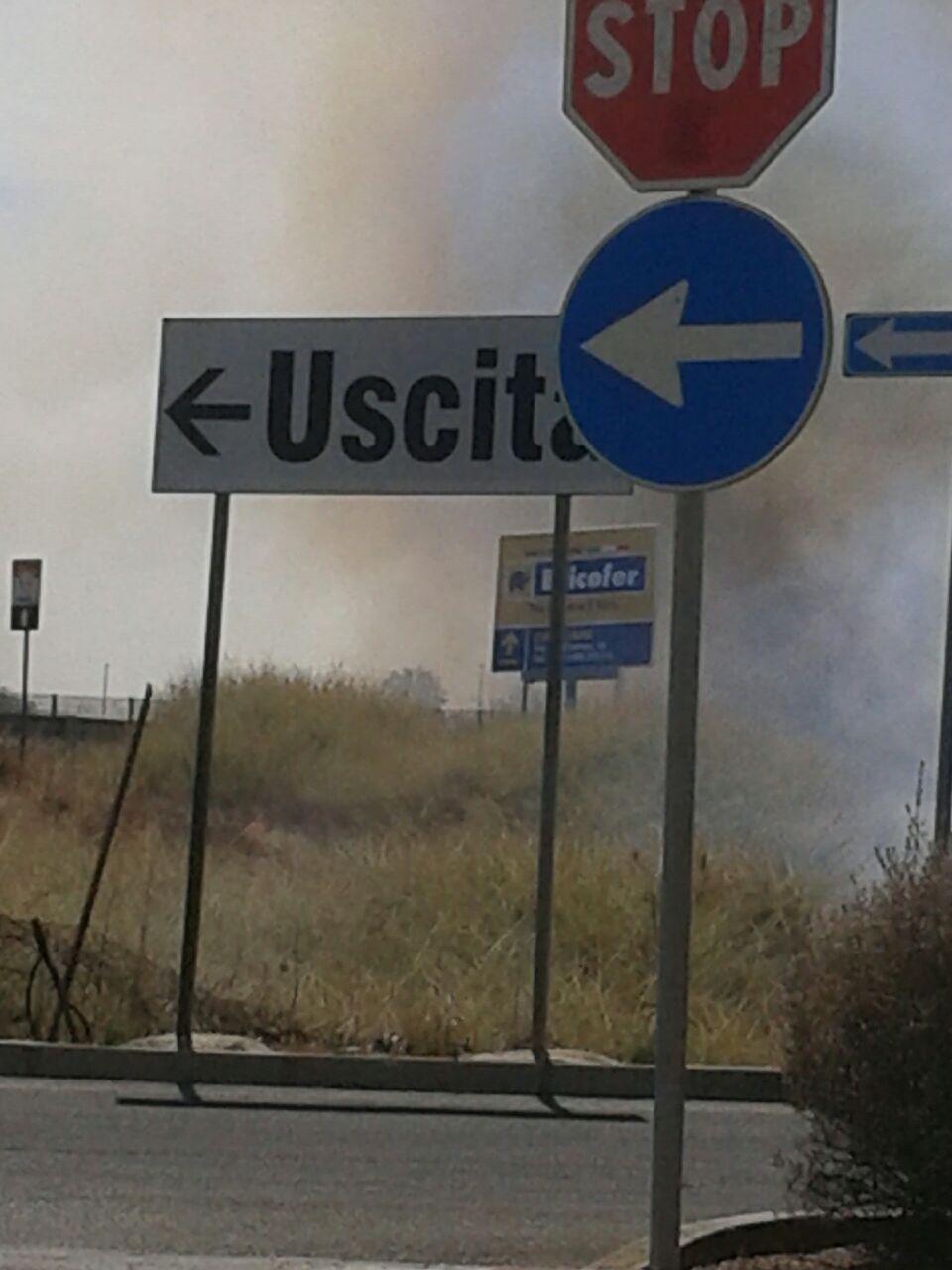 La zona del parco di Tarramaini (foto Mario Rosas)