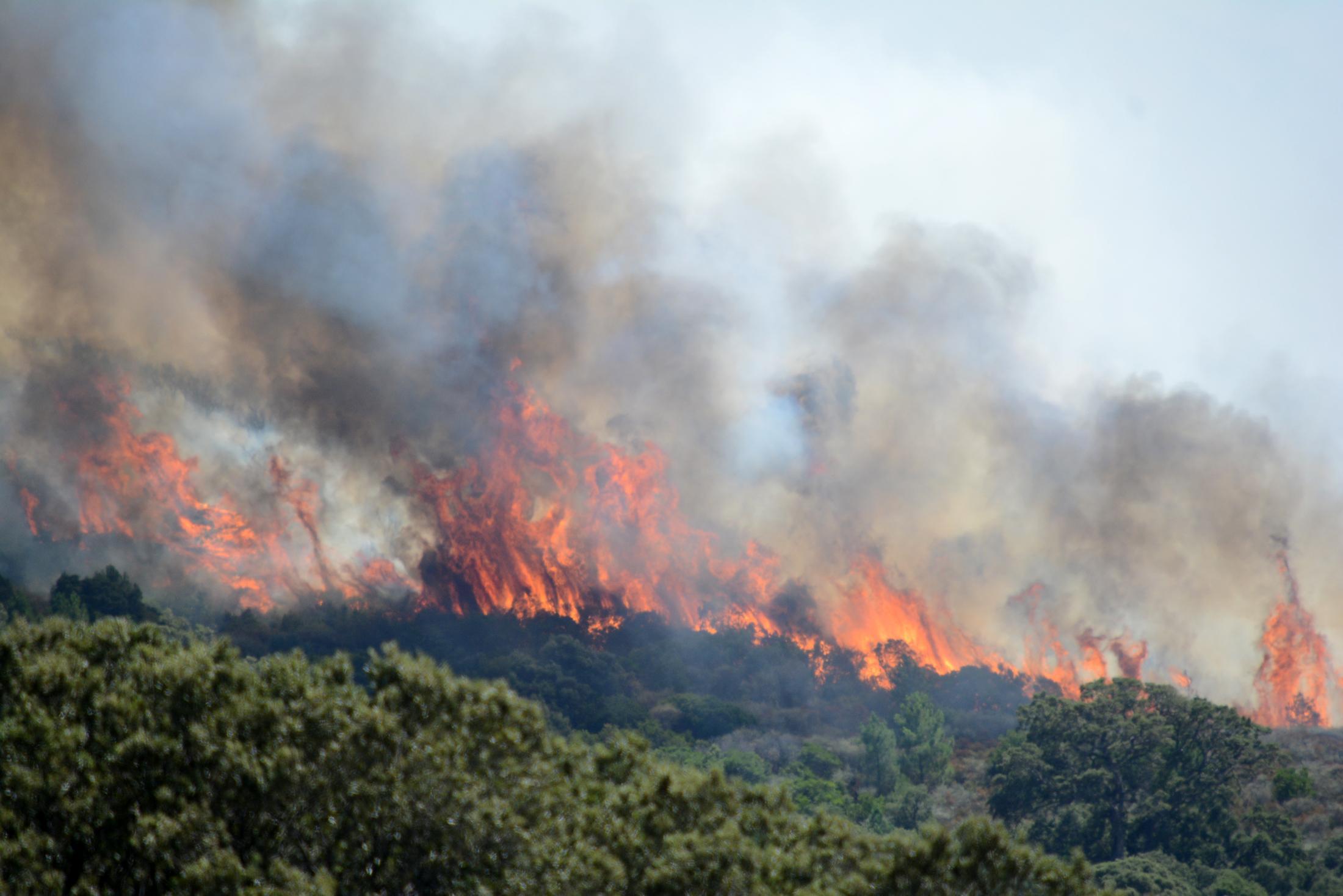 Quattro roghi nell'isola: duro lavoro per l'apparato regionale antincendio