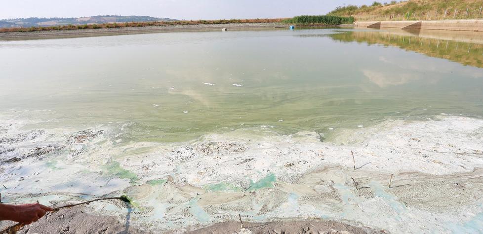 Sversamenti sospetti nel lago a Savignano: arrivano Forestale e Arpae 