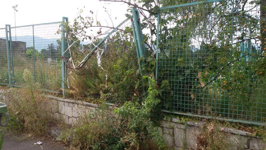 La recinzione rotta in più punti e le erbacce altissime (foto Lorenzo Gori)