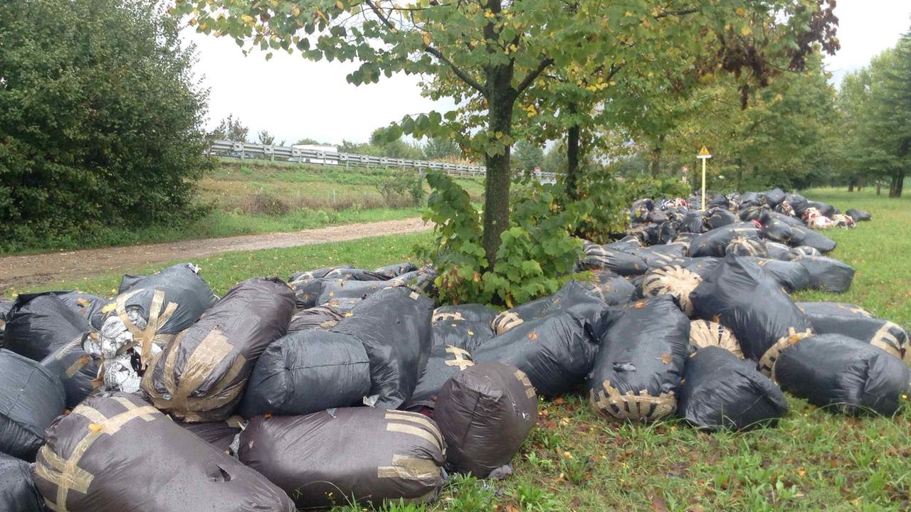 Una discarica abusiva di scarti tessili a Iolo