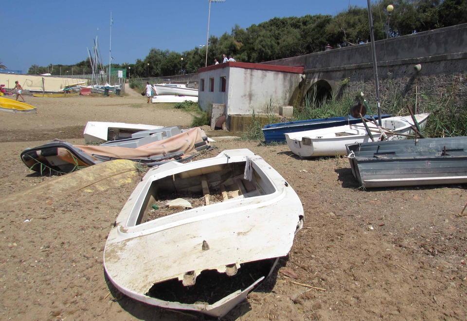 Finalmente anche a Livorno una vera spiaggia per cani, ecco l'annuncio dell'assessore