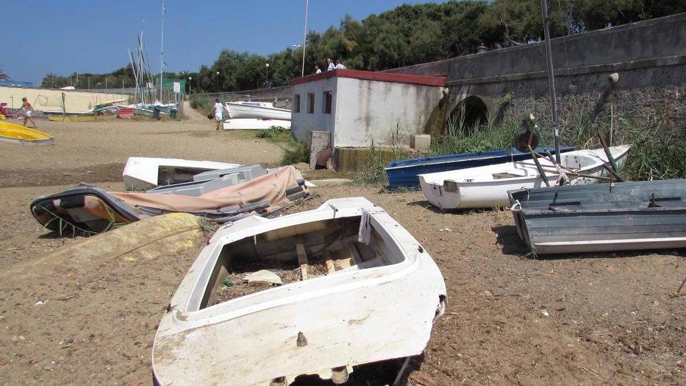 Finalmente anche a Livorno una vera spiaggia per cani, ecco l'annuncio dell'assessore