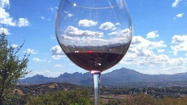 Cantina Gallura, numerosi premi a livello internazionale