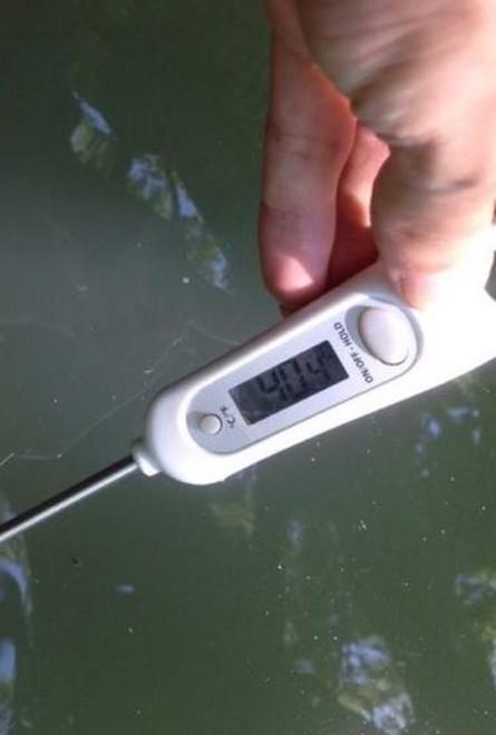 Boicelli a 40º, Comune-Arpae: solo effetto del caldo