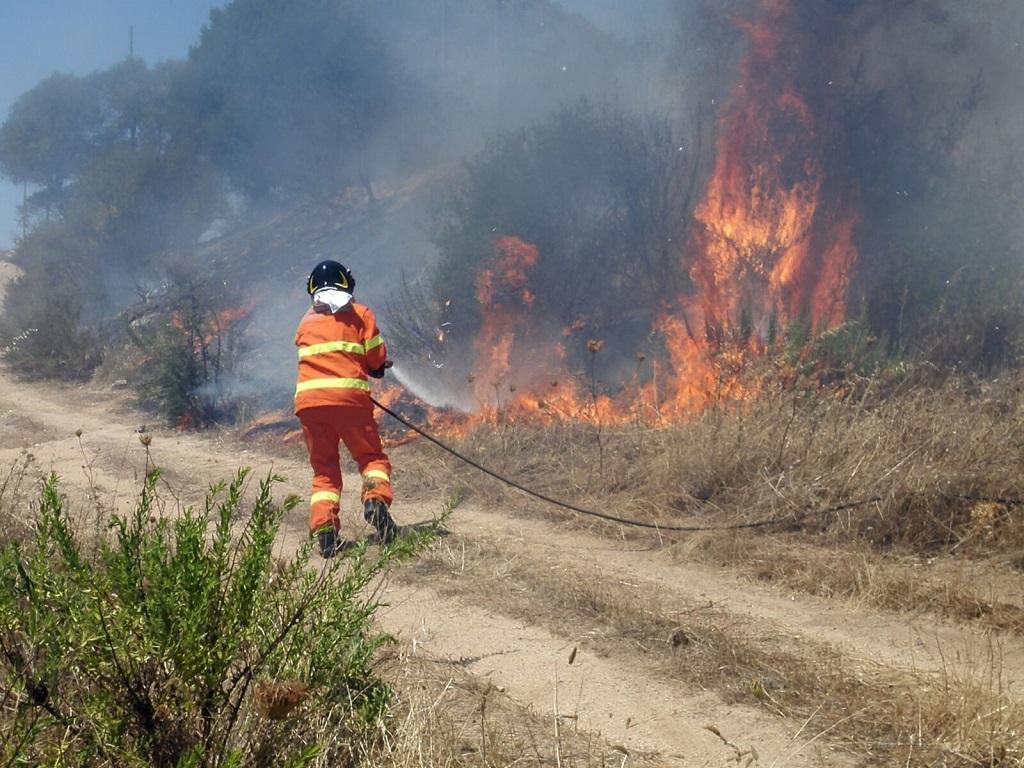 Incendio nelle campagne di Arzachena