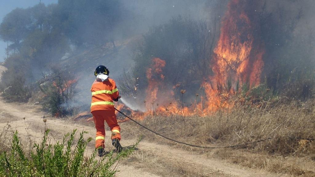 Incendio nelle campagne di Arzachena