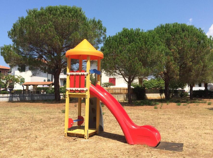 Pini vecchi e a rischio caduta 